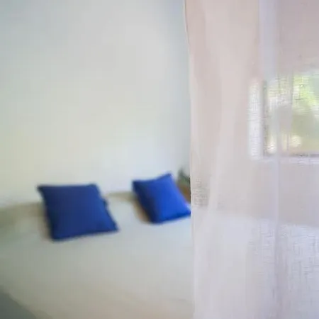 度假居 The Tortuga Banana House *