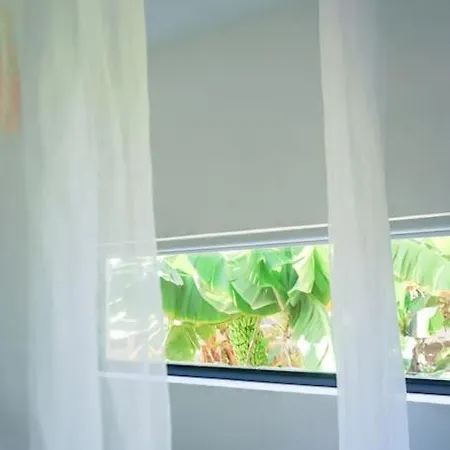 The Tortuga Banana House 阿鲁卡斯