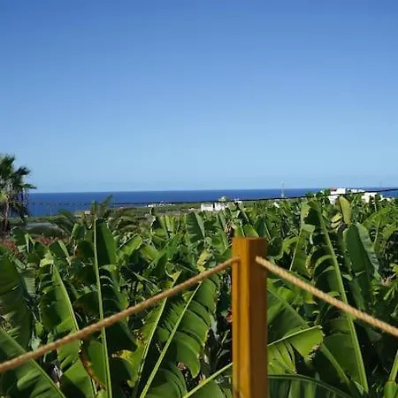 The Tortuga Banana House * 阿鲁卡斯
