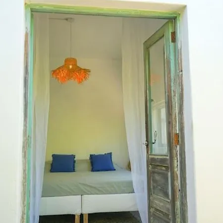 度假居 The Tortuga Banana House *