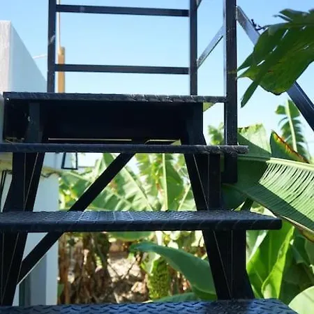 The Tortuga Banana House 度假居