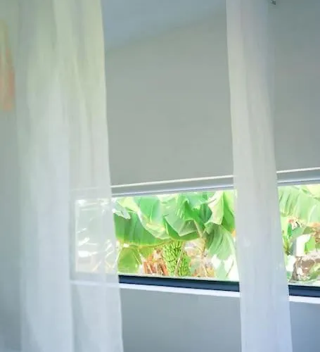 The Tortuga Banana House 아루카스