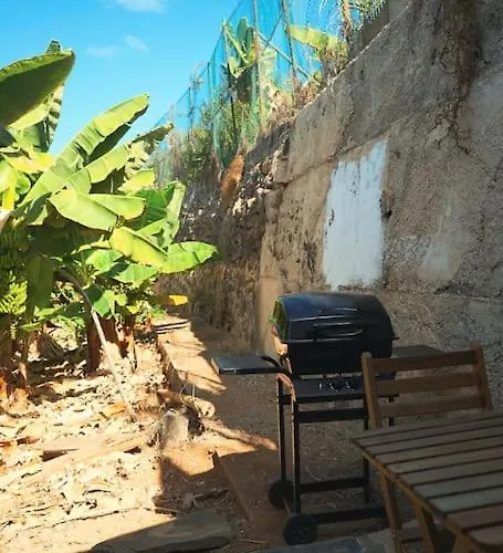 The Tortuga Banana House *